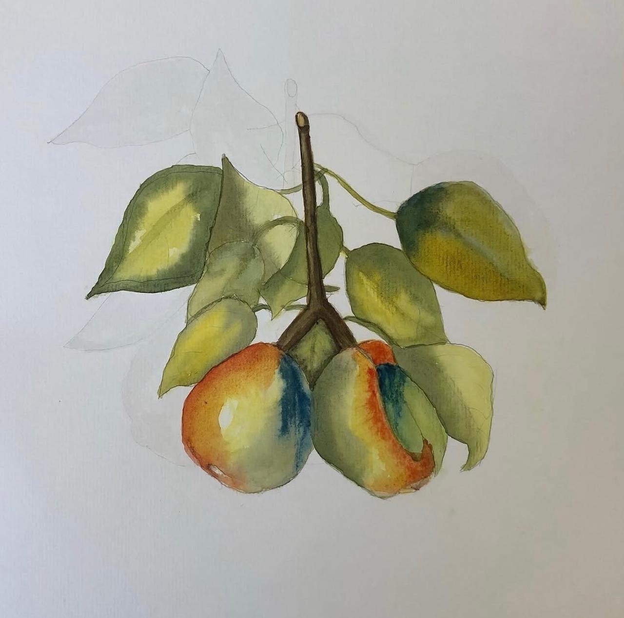 Pomar de Frutas