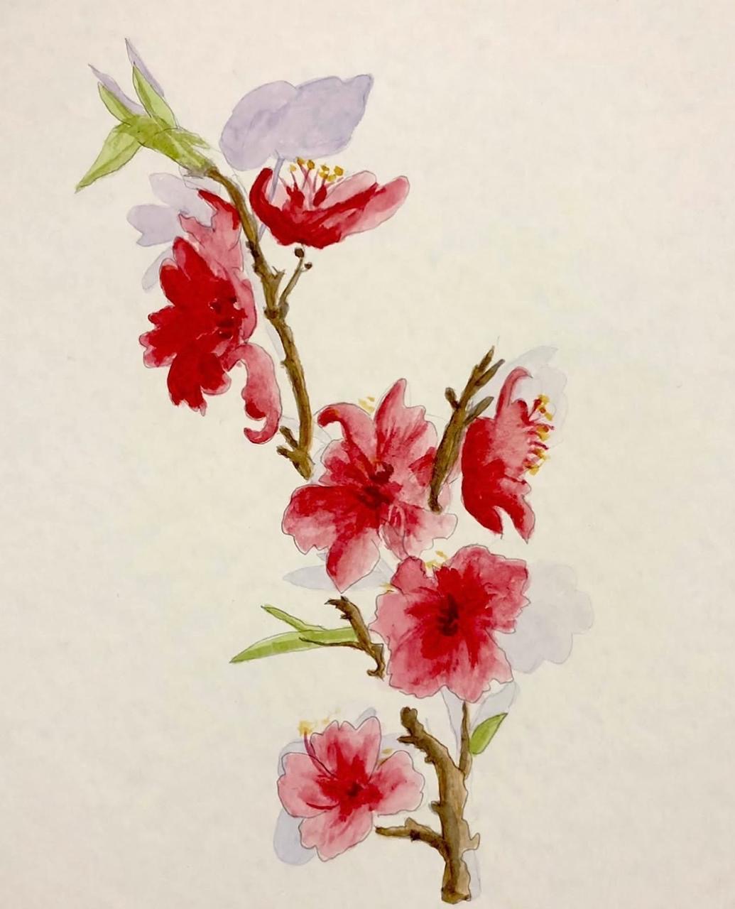 Primavera Florida